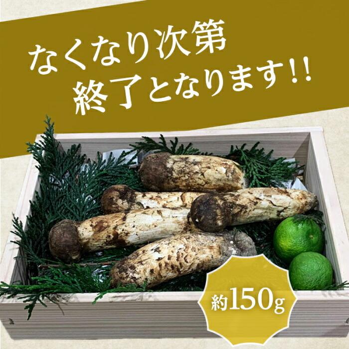 豊洲市場直送】松茸 国産 まつたけ マツタケ 150g 長野県 岩手県