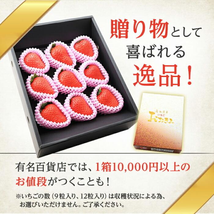 いちごみるく　2K大玉　3箱 豊洲便】おおきみいちご 苺 いちご イチゴ 9〜12粒 高知県産 大玉 苺の