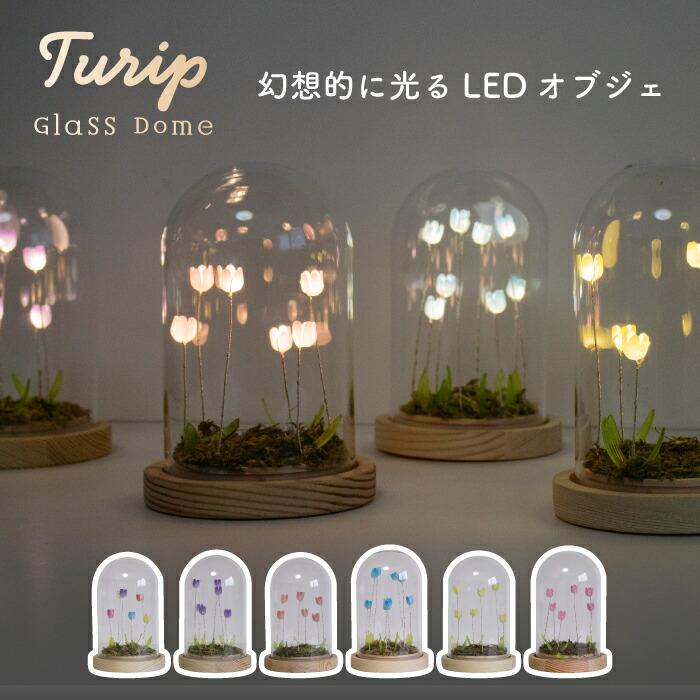 LUMO チューリップ ガラスドーム LEDライト付 卓上 インテリア 置物