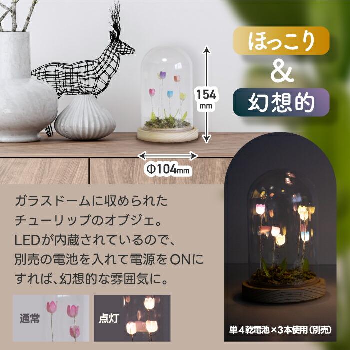 LUMO チューリップ ガラスドーム LEDライト付 卓上 インテリア 置物