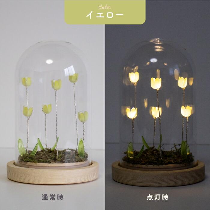 LUMO チューリップ ガラスドーム LEDライト付 卓上 インテリア 置物