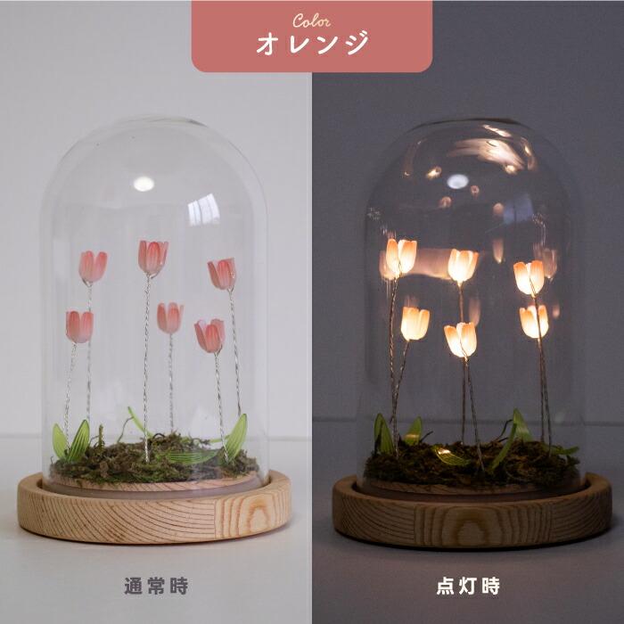 LUMO チューリップ ガラスドーム LEDライト付 卓上 インテリア 置物