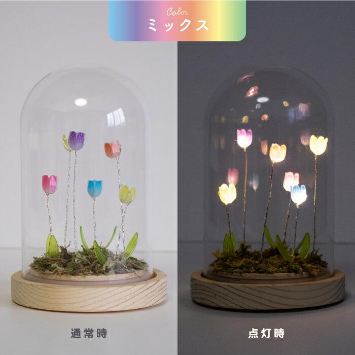 LUMO チューリップ ガラスドーム LEDライト付 卓上 インテリア 置物