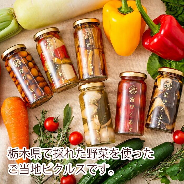 栃木県 宮ぴくるす 6個 ギフトセット ピクルス もろみ酢 ご当地グルメ