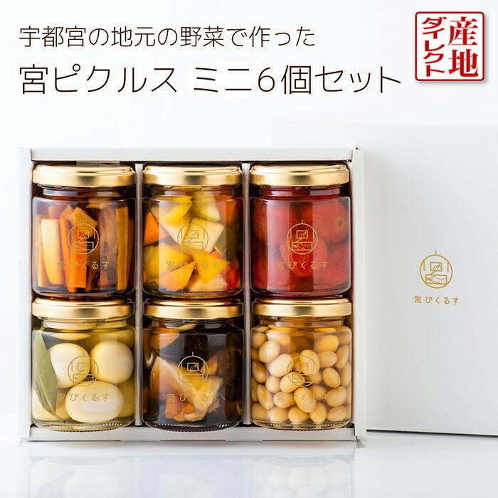 栃木県 宮ぴくるす ミニサイズ6個 ギフトセット ピクルス もろみ酢 ご