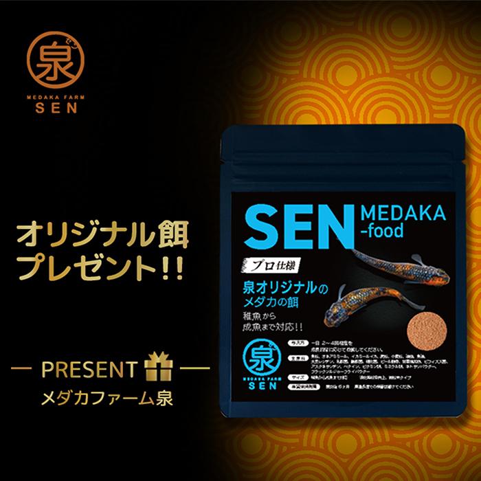 メダカ 生体 レクリス 稚魚 15匹+おまけ6匹付 送料無料 S めだか めだか生体 メダカ生体 種類 水槽 卵 水草 人気 飼育 容器|medakafarm-sen|04
