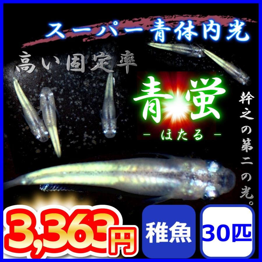 最大78 オフ 黒流星めだかの稚魚 10匹 メダカ Www Theonetouchstudios Com