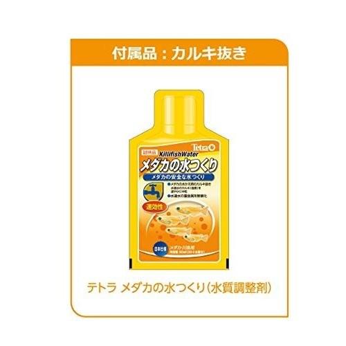 Tetra テトラ(Tetra) 静かなメダカ飼育セット SF-17KF Tetra テトラ(Tetra) 静かなメダカ飼育セット SF-17KF