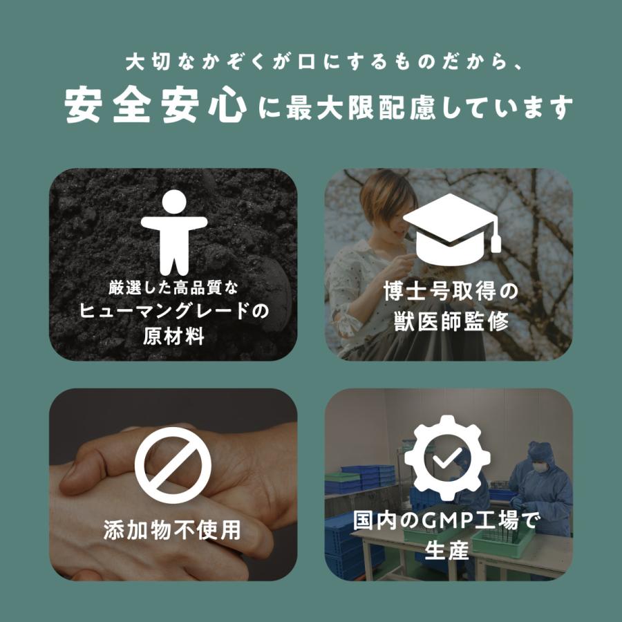 猫用 サプリメント 腎臓ケア 胃腸ケア 腸活 腎不全 健康維持 腸内