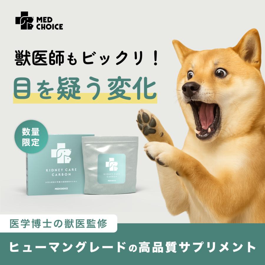 犬用 サプリメント 腎臓ケア 胃腸ケア 腸活 腎不全 健康維持 腸内