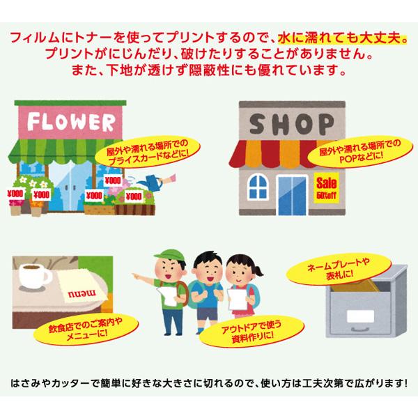 カラーレーザー用　ポスター・POPフィルム（厚さ0.145mm）　つや消しホワイト　A3/50枚入　（PFM-50A3-145）_1