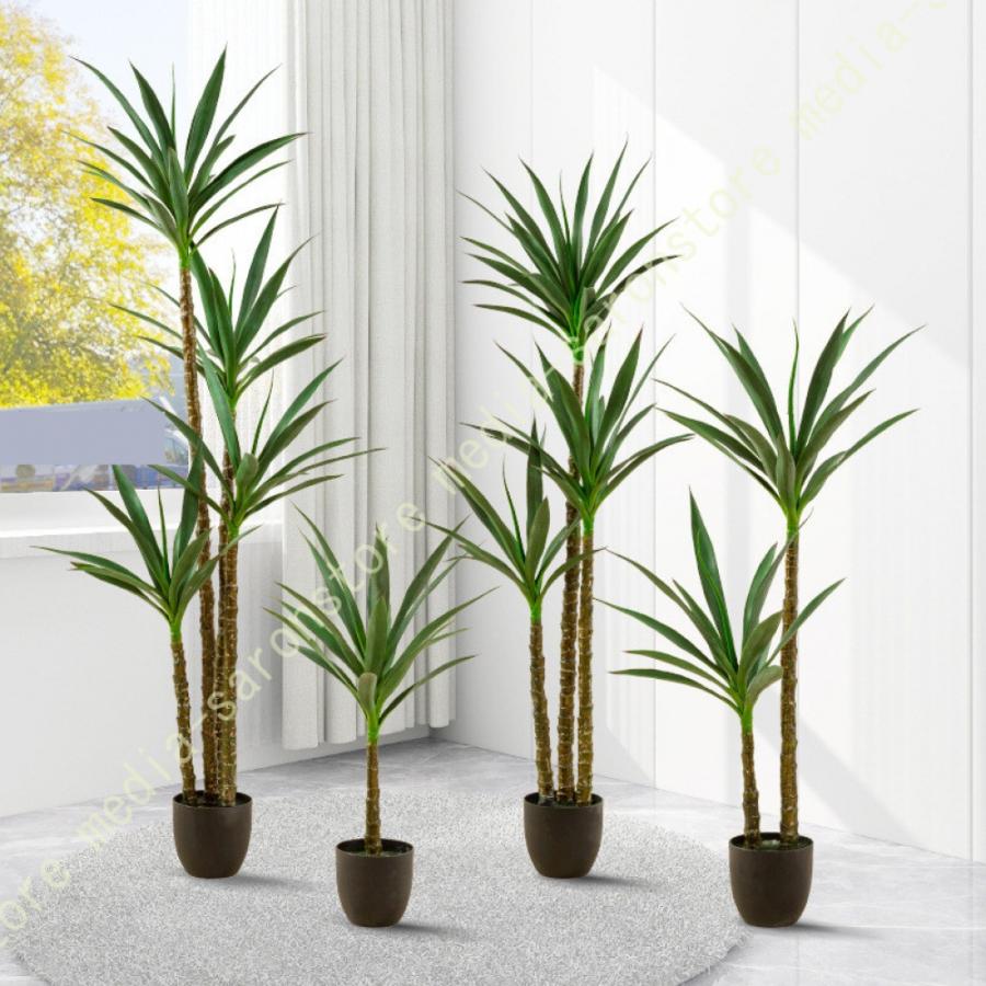 ユッカの木です。２、３m？かなり大きいです。 観葉植物 ユッカの木 大型 幸福の木 フェイクグリーン 観葉樹 本物