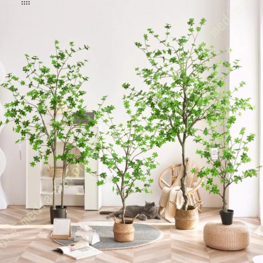 ドウダンツツジ,植物/観葉植物 ドウダンツツジ 人工観葉植物 水やり不要 インテリアグリーン 観葉植物