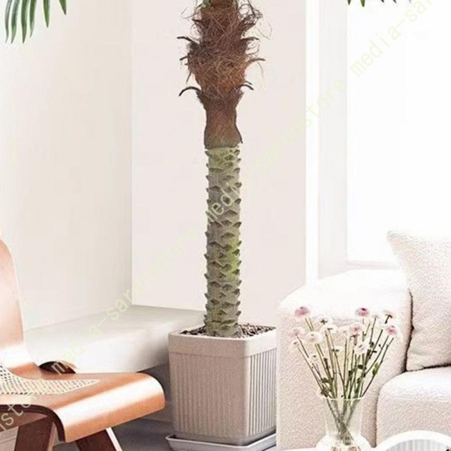フェイクグリーン 大型 人工観葉植物 観葉樹 飾り用 水やり不要 メンテナンス簡単 室内 屋外 キッチン オフィス リビング 玄関 引っ越し祝い インテリア 屋内_10