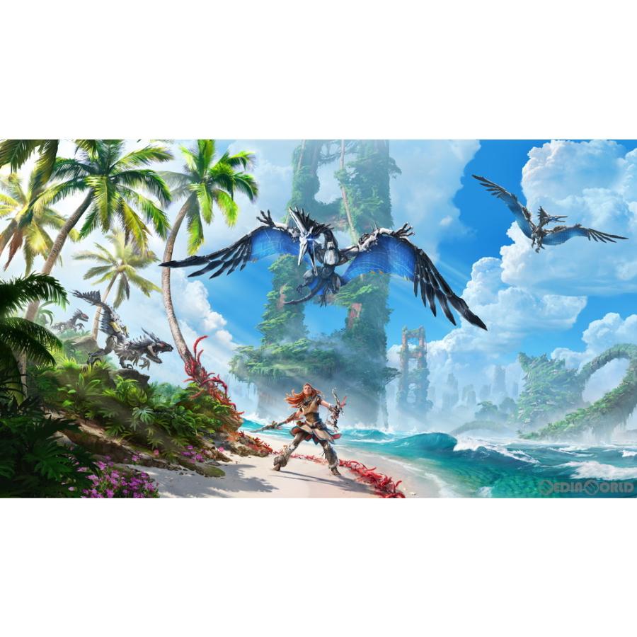 PlayStation 『中古即納』{PS4} Horizon Forbidden West(ホライゾン