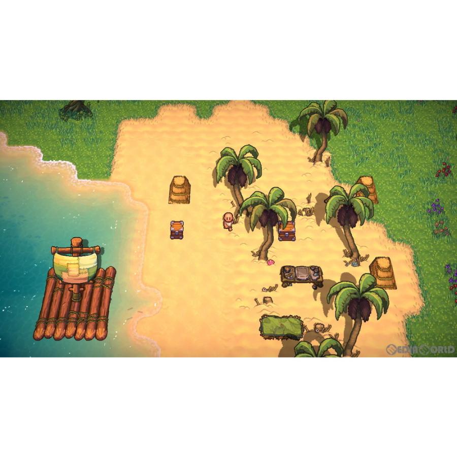 中古即納』{Switch} The Survivalists - ザ サバイバリスト Game