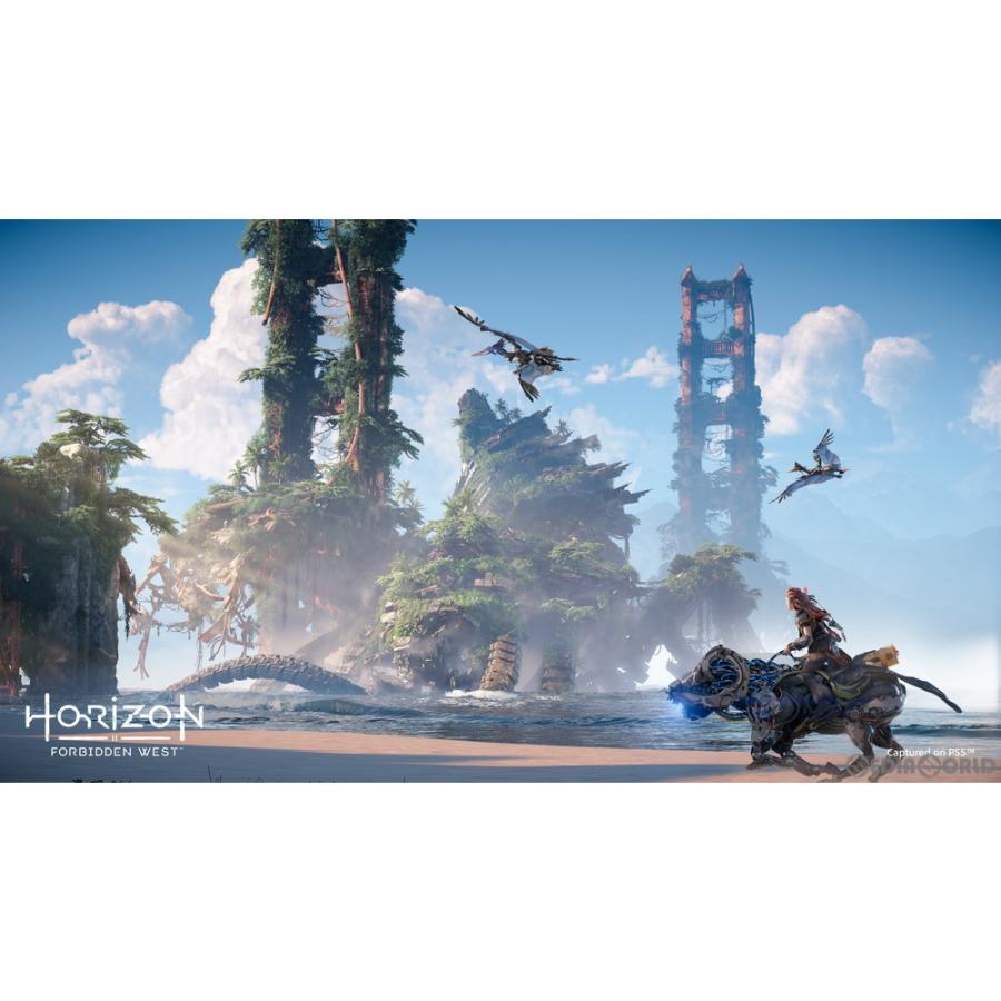 PlayStation 『中古即納』{PS5} Horizon Forbidden West(ホライゾン