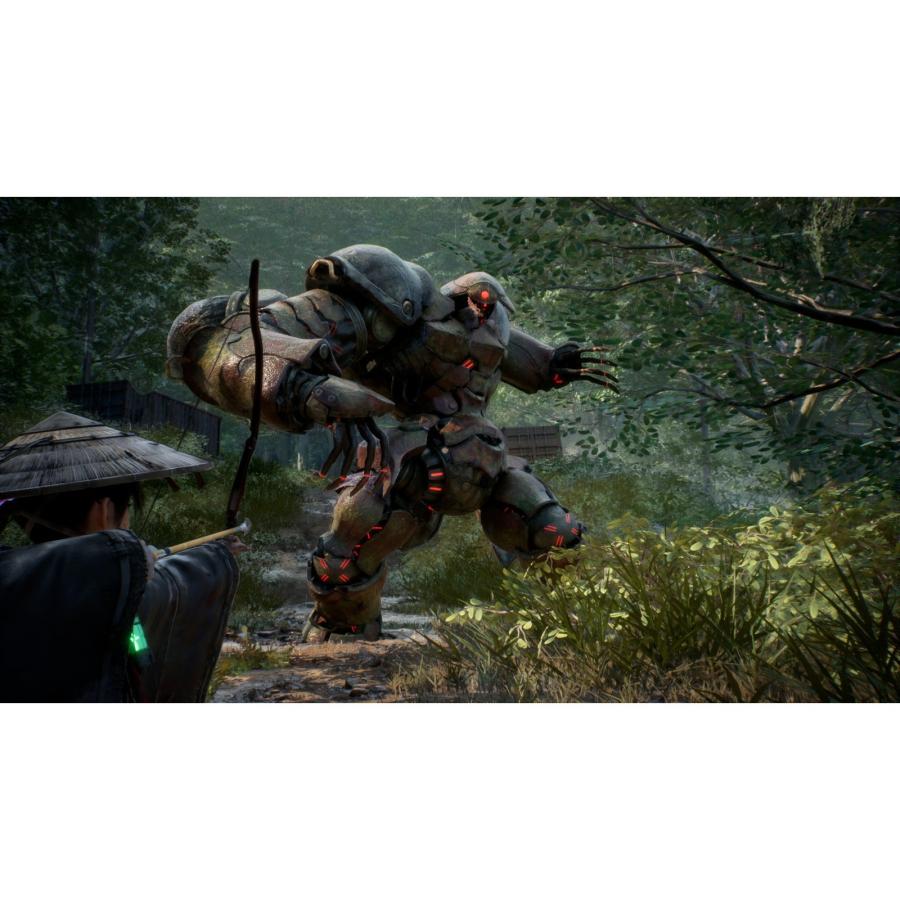 『予約前日出荷』{PS5} Beast of Reincarnation(ビースト・オブ・リンカネーション) ハピネット(20260804)の画像