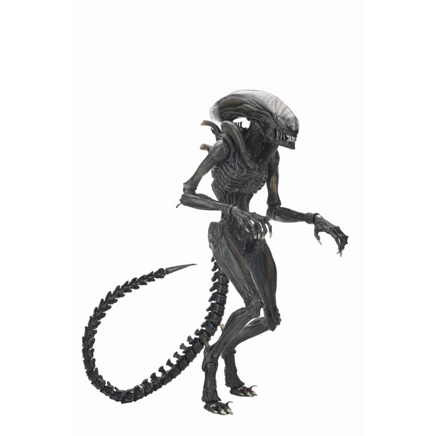 新品即納』{FIG} スコーチド ゼノモーフ エイリアン:ロムルス 完成品