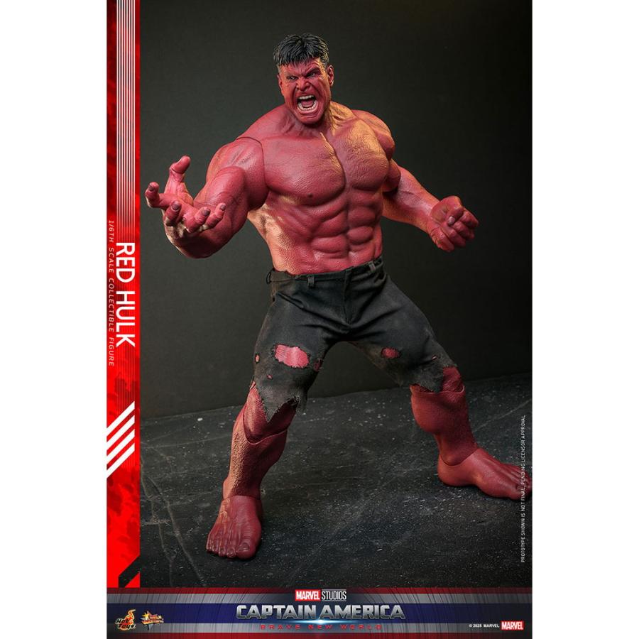 ホットトイズ（Hot Toys） 『新品即納』{FIG} ムービー