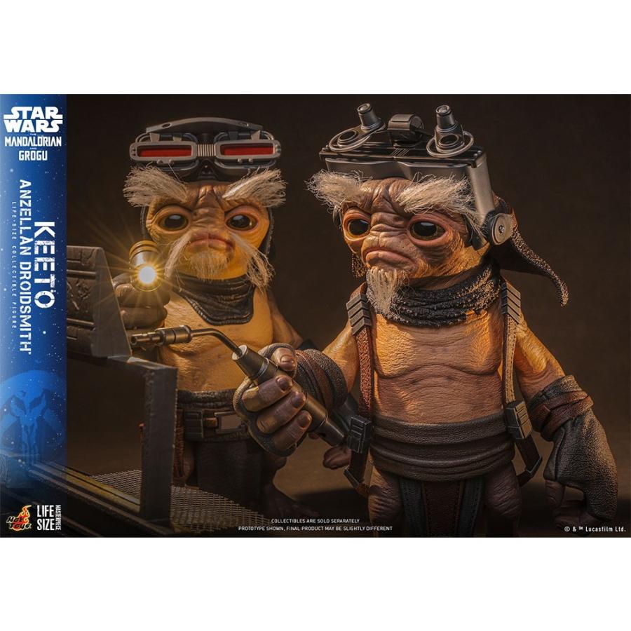 ホットトイズ（Hot Toys） 『予約安心出荷』{FIG} ライフサイズ