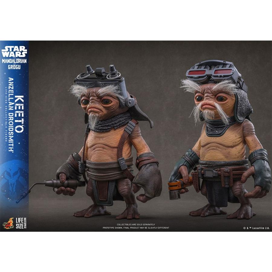 ホットトイズ（Hot Toys） 『予約安心出荷』{FIG} ライフサイズ