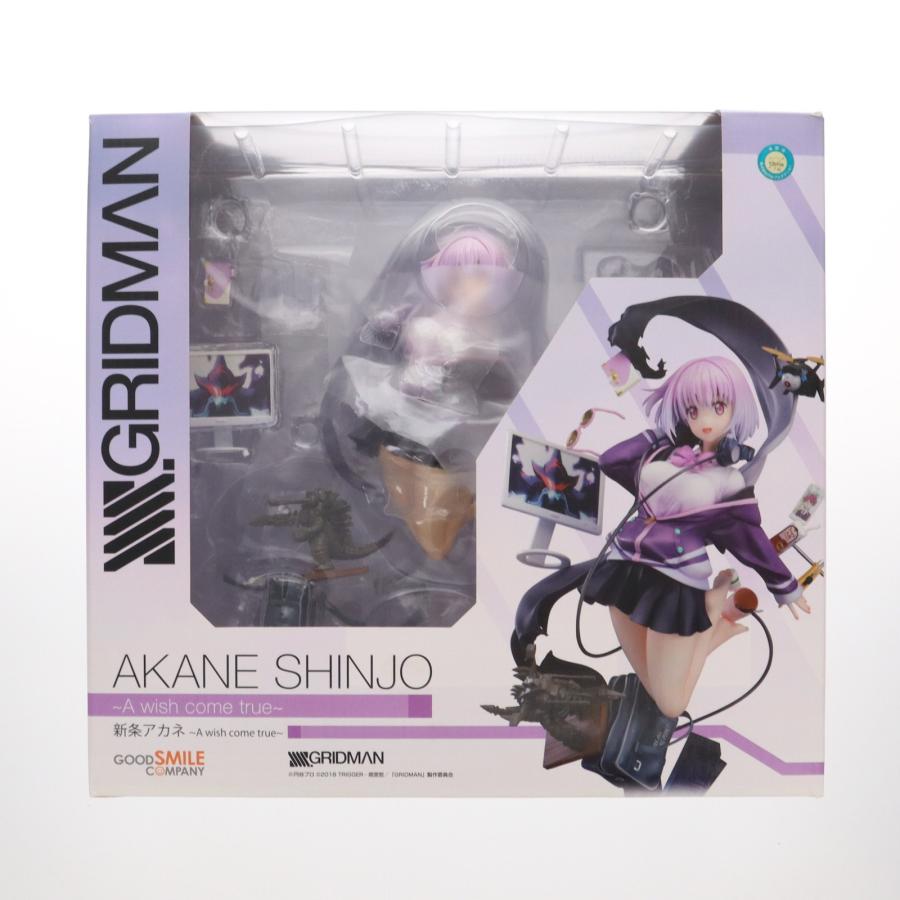 新条アカネ(しんじょうあかね) 〜A wish come true〜 SSSS.GRIDMAN
