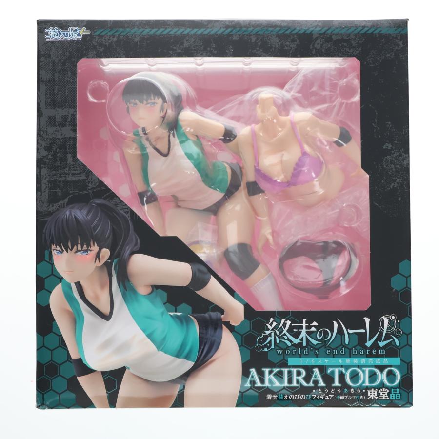 中古即納』{FIG} 東堂晶(とうどうあきら) 着せ替えのびのびフィギュア