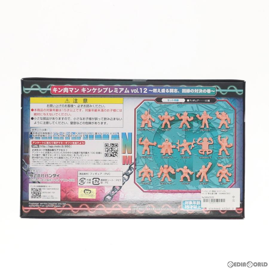 中古即納』{FIG} プレミアムバンダイ限定 キンケシプレミアムvol.12