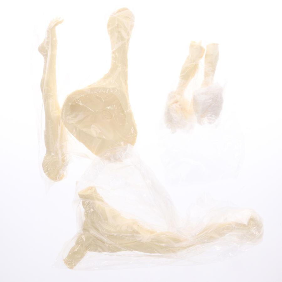 未使用 1/250 マンモスフラワー ボークス オリエントヒーローガレージキット ボークス 『中古即納』{FIG} オリエントヒーロー GO-WORLD 新章