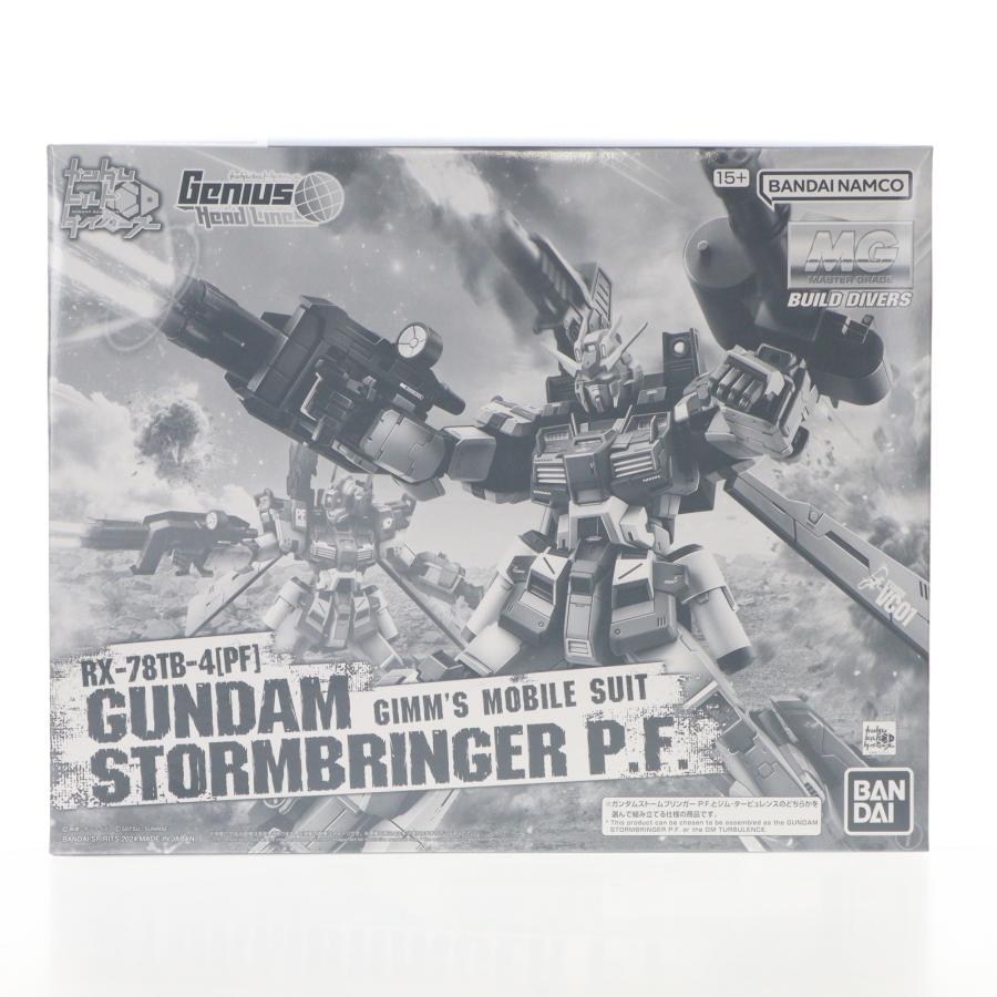 PTM]プレミアムバンダイ限定 MG 1/100 ガンダムストームブリンガーP.F.