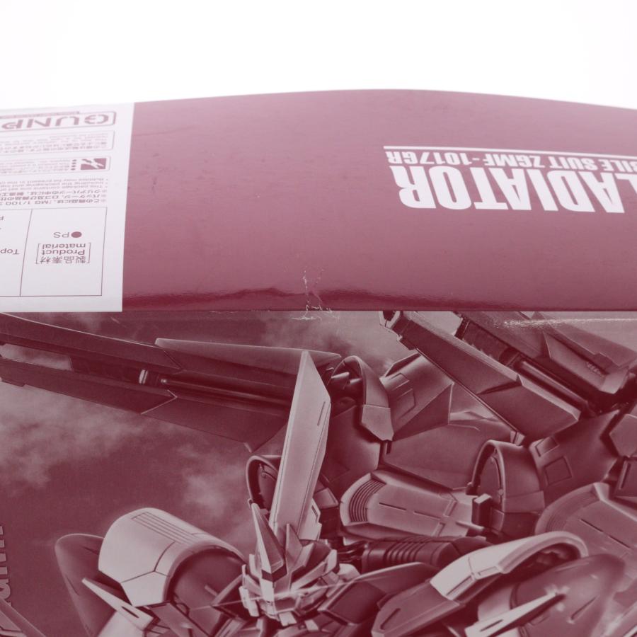 中古即納』{PTM} プレミアムバンダイ限定 MG 1/100 ジン