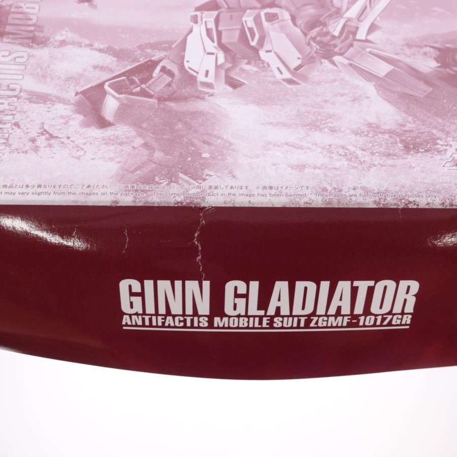 中古即納』{PTM} プレミアムバンダイ限定 MG 1/100 ジン