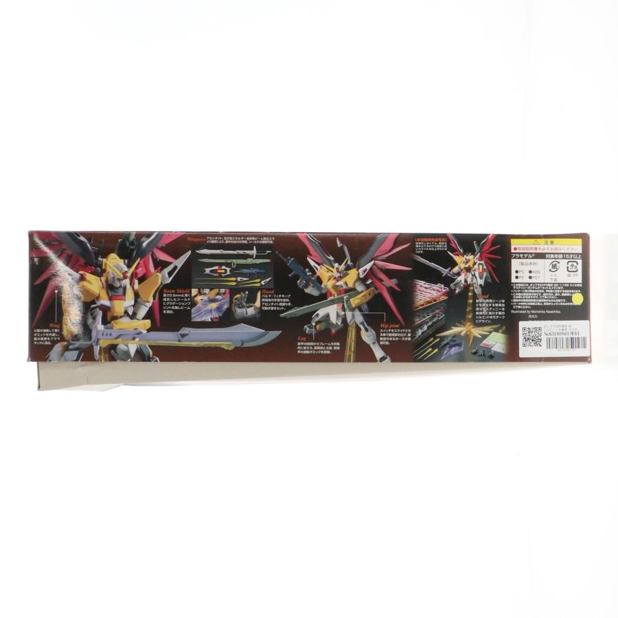 中古即納』{PTM} ガンプラEXPO限定 MG 1/100 ハイネ専用 デスティニー