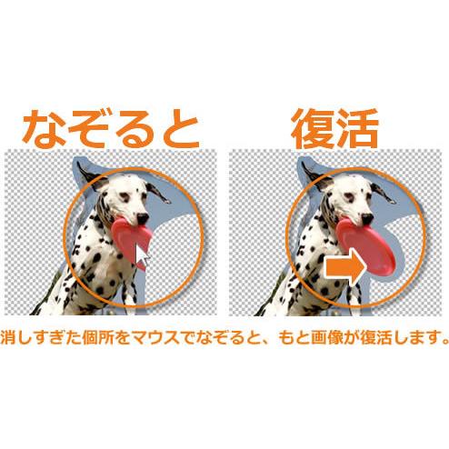 あっと言う間に瞬間かんたん画像編集 秒速 画像キリヌキpro2 ダウンロード版 Mv003 Dl メディアナビ ダイレクト 通販 Yahoo ショッピング