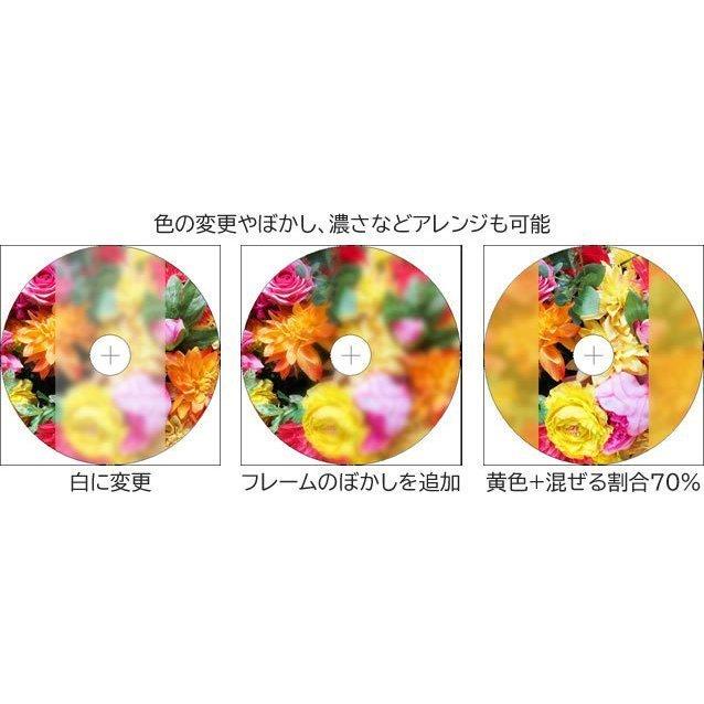 BD/DVD/CDラベル印刷ソフト らくちんCDラベルメーカー23 Pro 特別版（ダウンロード版）の画像