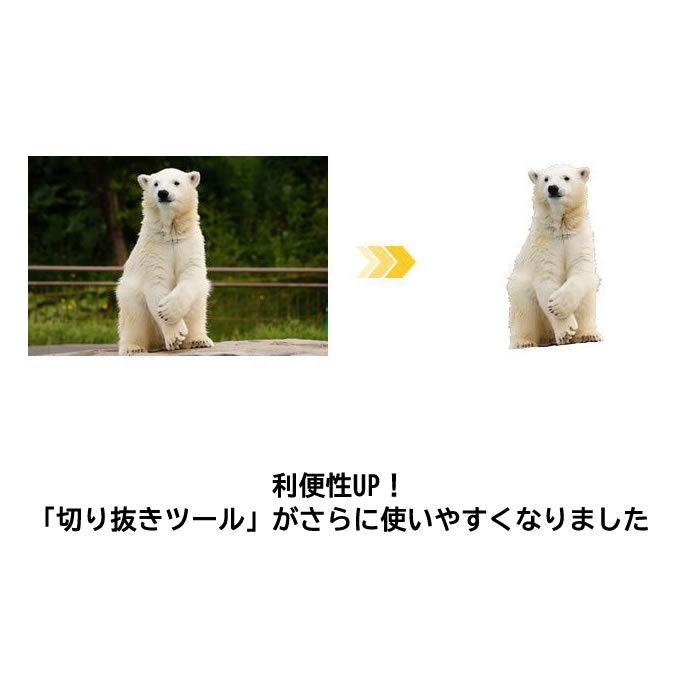 BD/DVD/CDラベル印刷ソフト らくちんCDラベルメーカー23 Pro 特別版（ダウンロード版）の画像