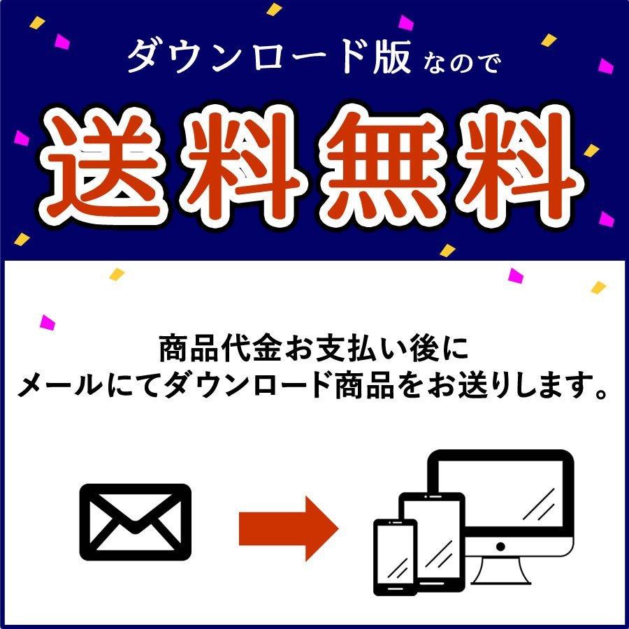 BD/DVD/CDラベル印刷ソフト らくちんCDラベルメーカー23 Pro 特別版（ダウンロード版）の画像