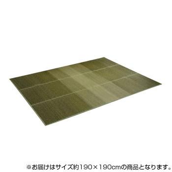 KOBA-GUARD 制菌 抗菌防臭 消臭 い草ラグカーペット 滑り止め加工 約190×190cm グリーン 8480420　代引き不可/同梱不可