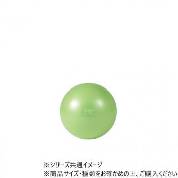 ダンノ(DANNO) ギムニクカラーボールPLUS 65(ライムグリーン) D5422LMG