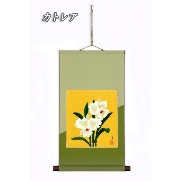 掛軸 掛け軸 能 葛谷聖山 【公式通販】