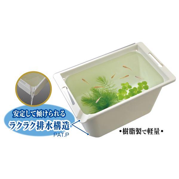 メダカ元気 メダカのための飼育箱 白350 （観賞魚用品／水槽用品）｜mediaroad1290｜04