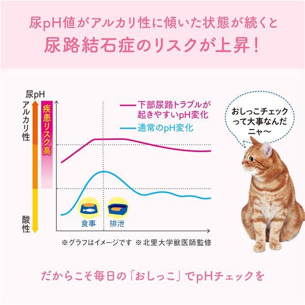 （まとめ）大王製紙 キミおもい おしっこチェックできる 固まる紙のネコ砂 5L （猫 衛生用品／猫砂） 〔×2セット〕｜mediaroad1290｜04