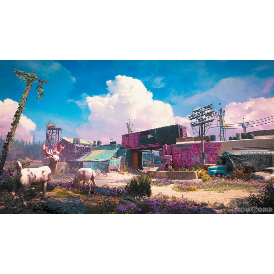 『中古即納』{PS4}ファークライ5+ニュードーン ダブルパック(Far Cry 5 + Far Cry New Dawn Double Pack)(20210617)｜mediaworld-plus｜10