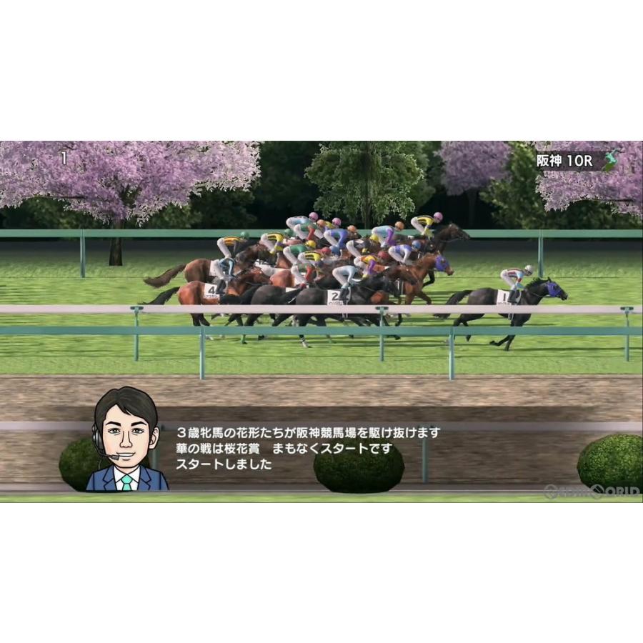中古即納』{Switch} ダービースタリオン(Derby Stallion) ゲーム