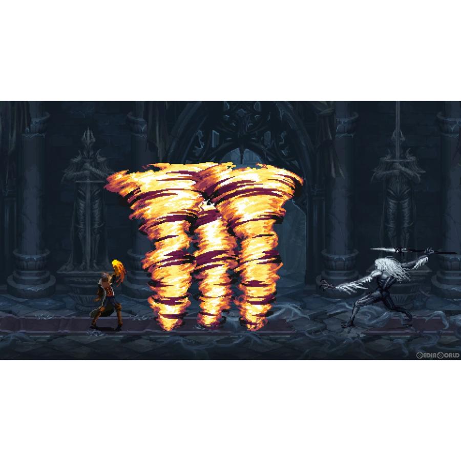 H2 INTERACTIVE 『中古即納』{Switch} The Last Faith: The Nycrux
