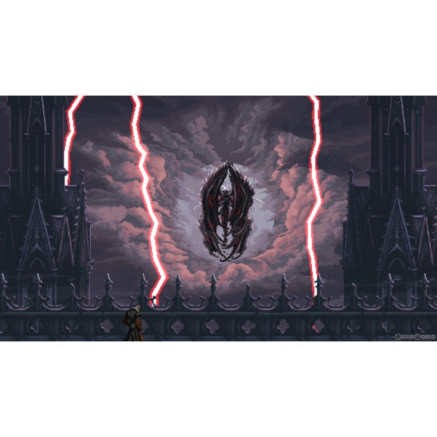 H2 INTERACTIVE 『中古即納』{Switch} The Last Faith: The Nycrux