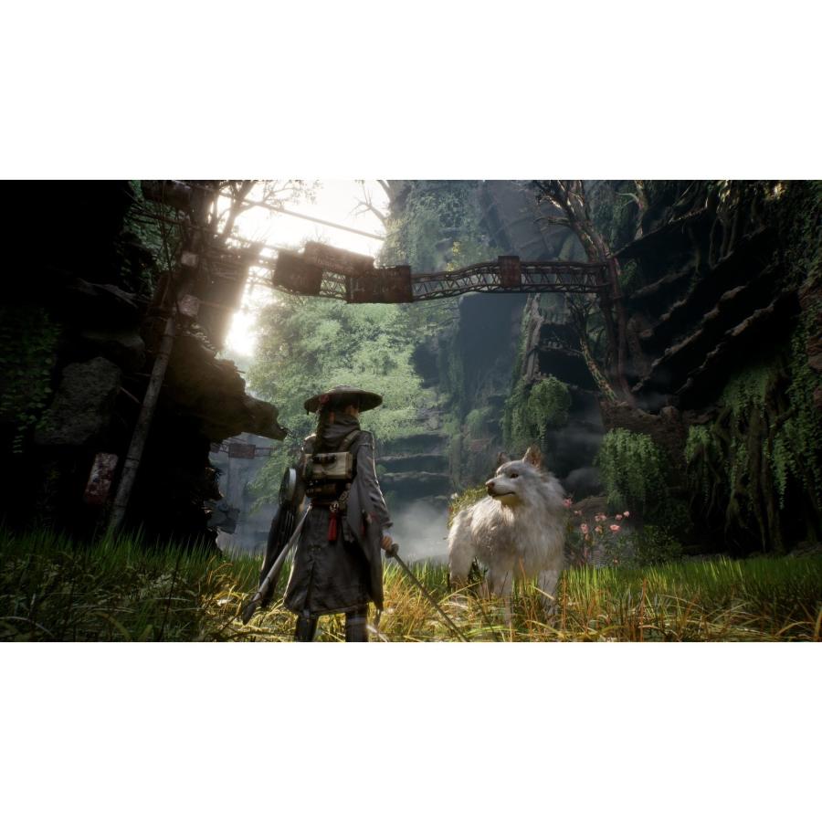『予約前日発送』{PS5} Beast of Reincarnation(ビースト・オブ・リンカネーション) ハピネット(20260804)の画像