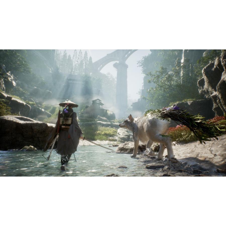 『予約前日発送』{PS5} Beast of Reincarnation(ビースト・オブ・リンカネーション) ハピネット(20260804)の画像
