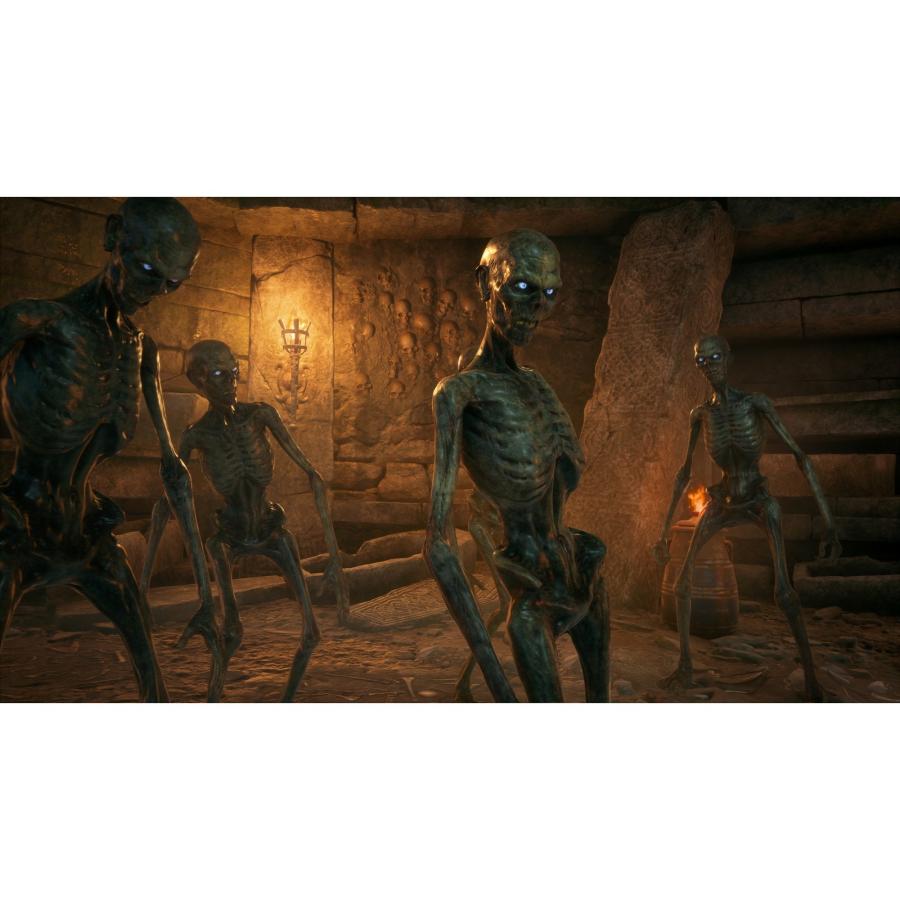 予約前日発送』{PS5} ホグワーツ・レガシー 価格改定版 WB Games(ELJM